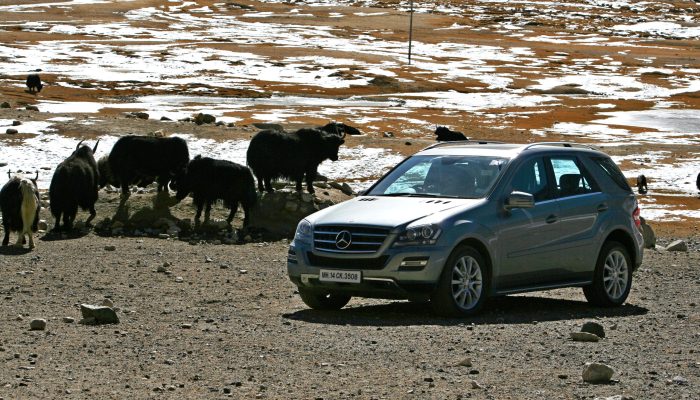 Automotive Drives Honda Drive To Discover 12 - 6